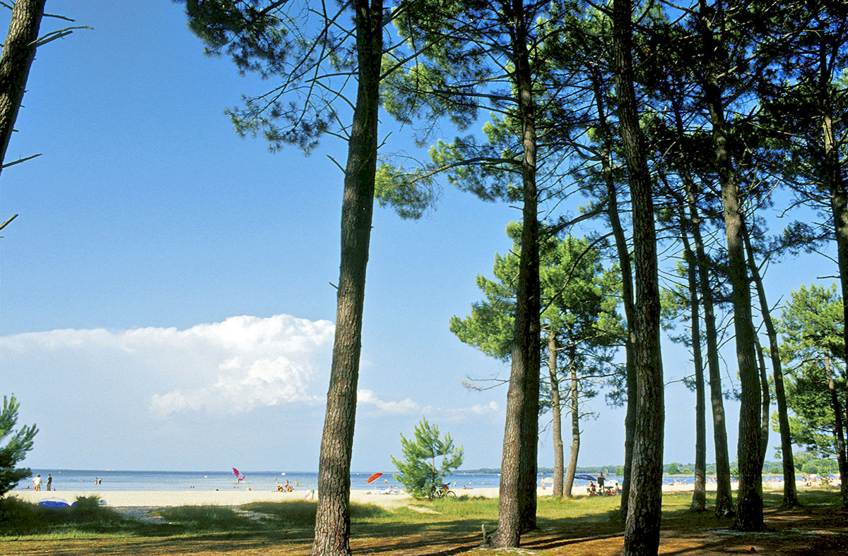 Campéole Navarrosse Plage Aquitania - Biscarrosse visuel 23/45