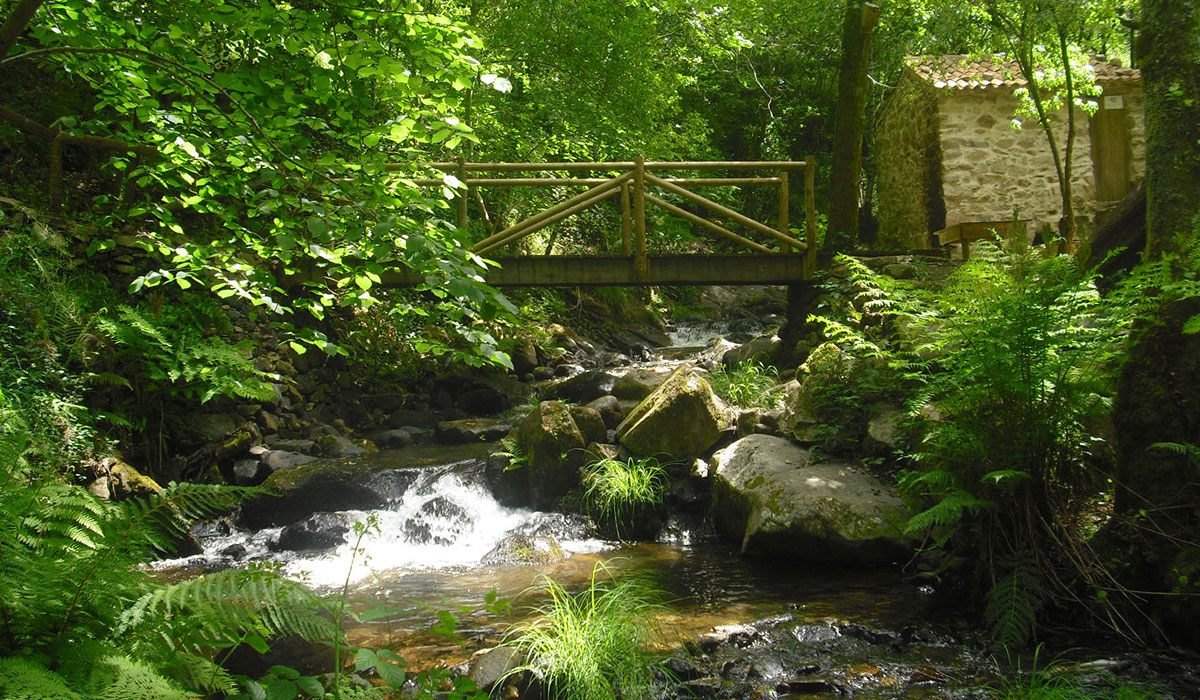 O Homem Verde Wildglamping Centro - Espinhal visuel 1/5 O Homem Verde Wildglamping Centro - Espinhal visuel 1/5