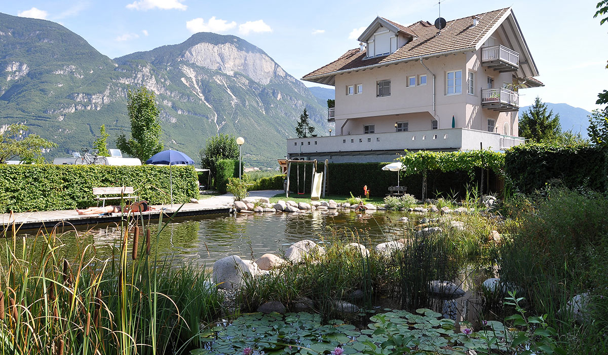 Obstgarten Trentin-Haut-Adige - Cortaccia sulla Strada del Vino visuel 1/1