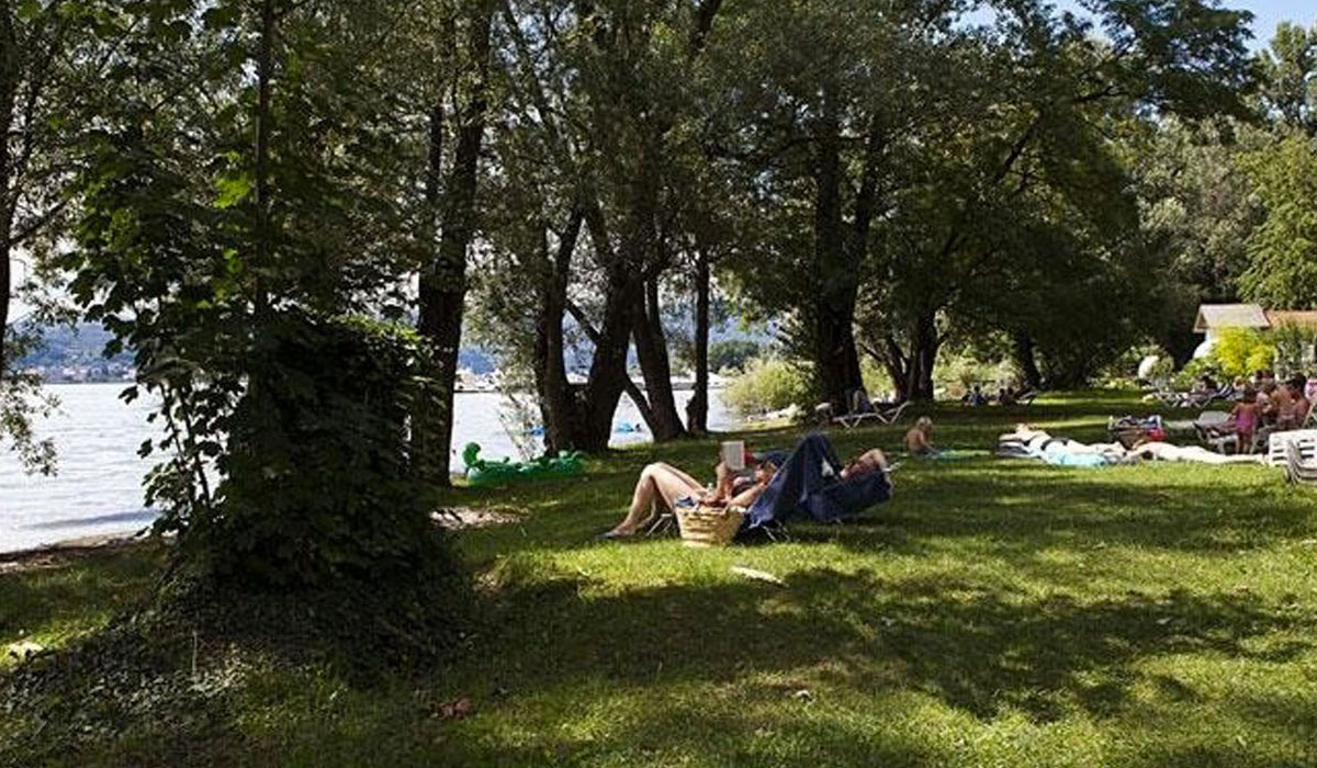 Okay Lombardie - Lisanza visuel 8/13