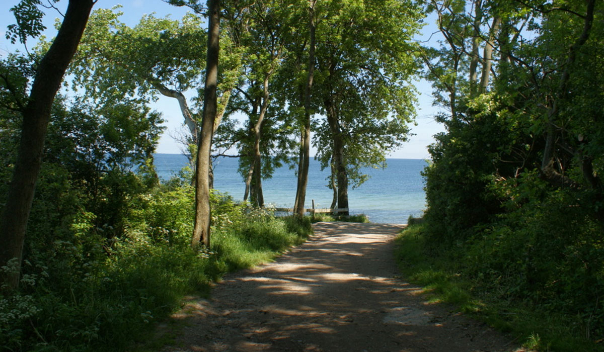Ostsee Katharinenhof Schleswig-Holstein - Fehmarn visuel 1/4