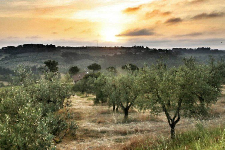 Panorama del Chianti Toscane - Certaldo visuel 2/7