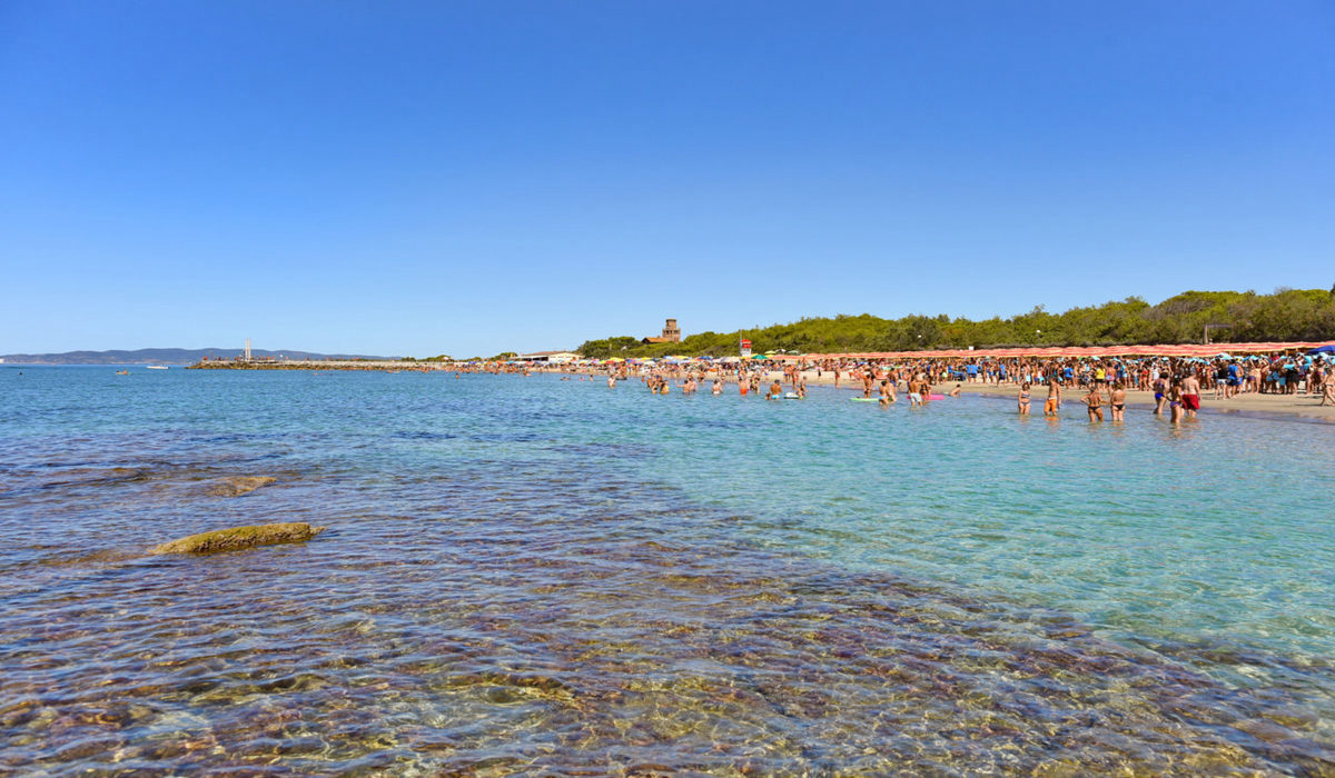 Pappasole Toscane - Riotorto visuel 7/9