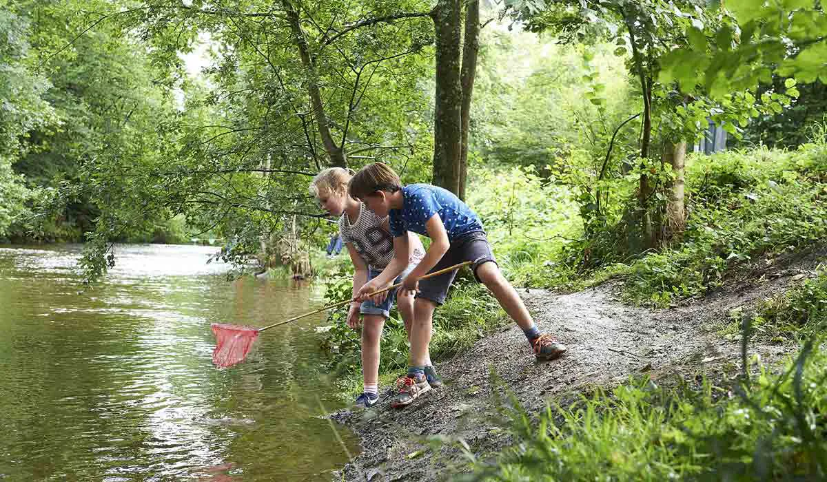 Camping Parc La Clusure Luxembourg - Bure visuel 9/15