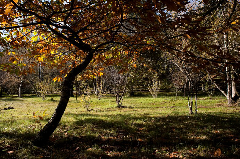 Parque de Cerdeira Norte - Cerdeira visuel 3/4 Parque de Cerdeira Norte - Cerdeira visuel 3/4