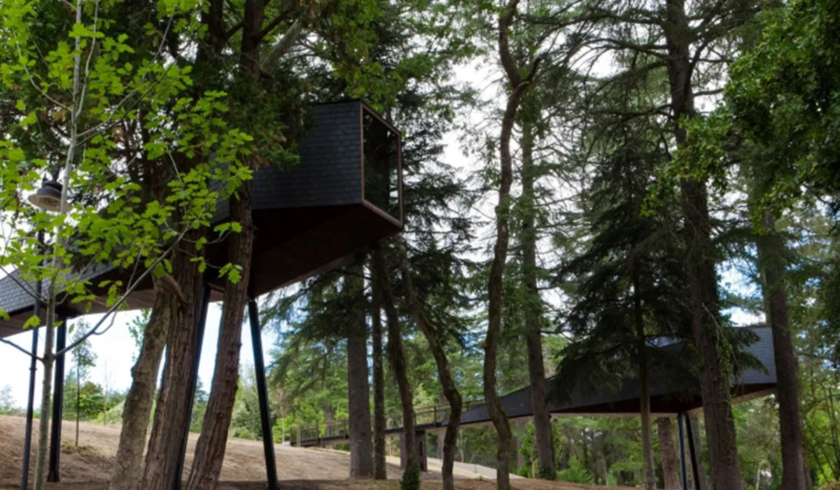 Camping Pedras Salgadas Spa & Nature Park Norte - Bornes de Aguiar visuel 2/6