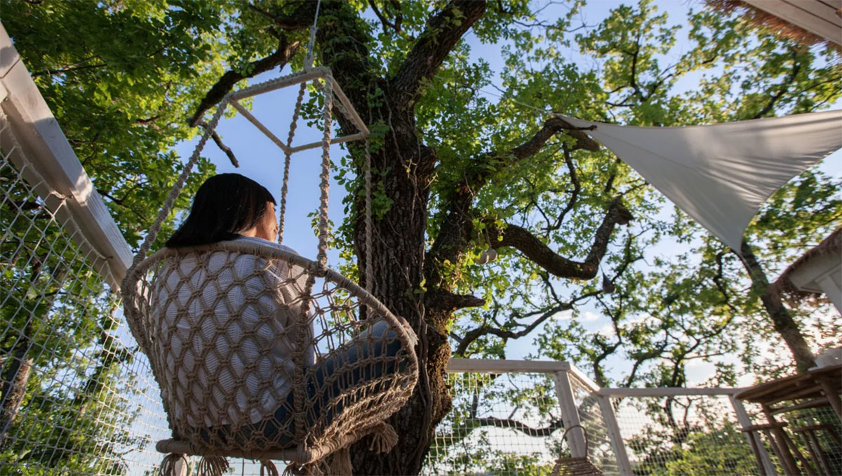 Domaine Pella Roca Aquitaine - Labastide-de-Penne visuel 5/6