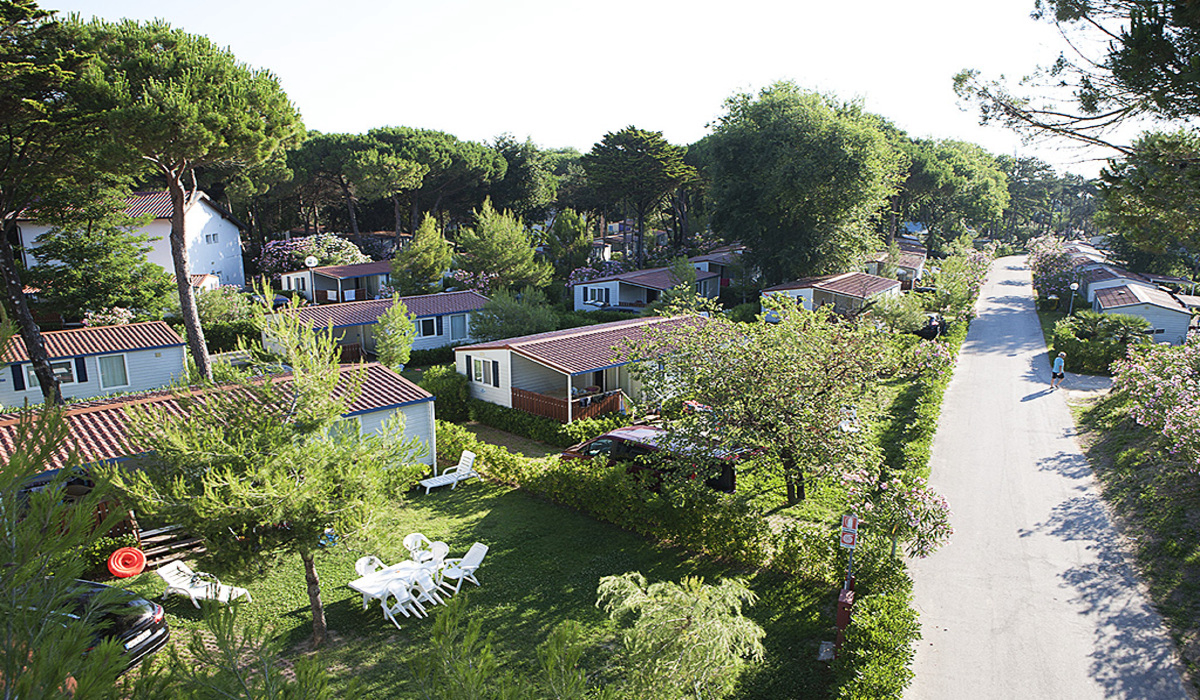 Pino Mare Frioul-Vénétie Julienne - Lignano Sabbiadoro visuel 8/9