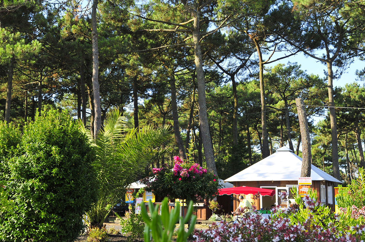 Campéole Plage Sud Aquitania - Biscarrosse-Plage visuel 39/39