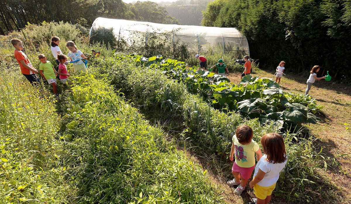 Playa De Tauran Asturies - Luarca visuel 4/5