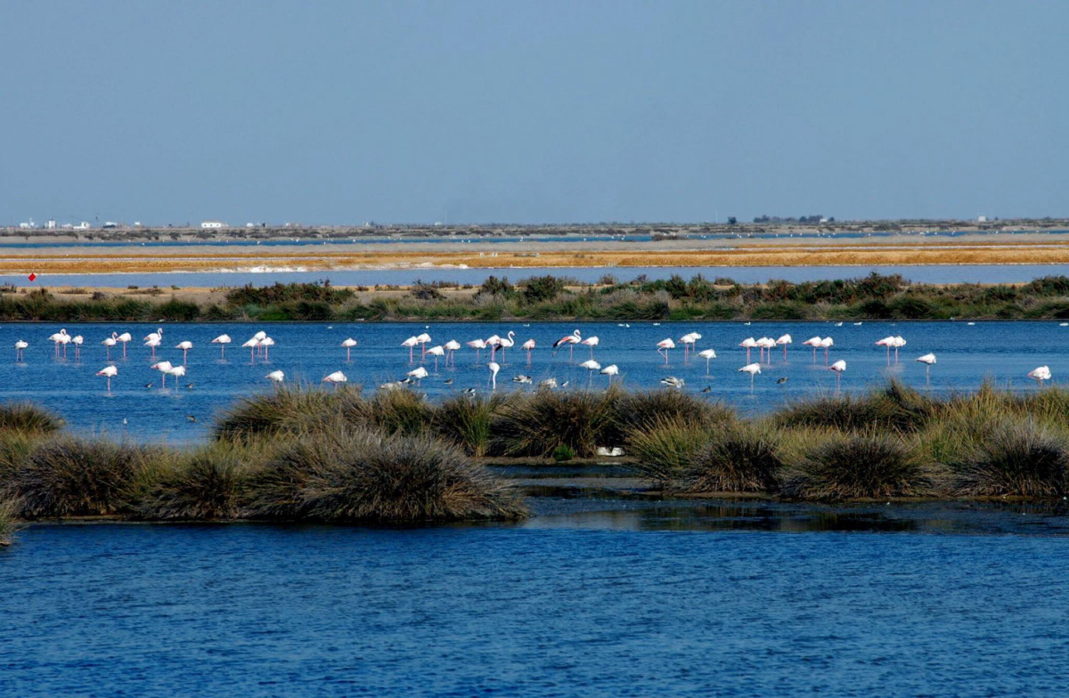 Playa la Bota Andalousie - Punta Umbría visuel 3/3 Playa la Bota Andalousie - Punta Umbría visuel 3/3