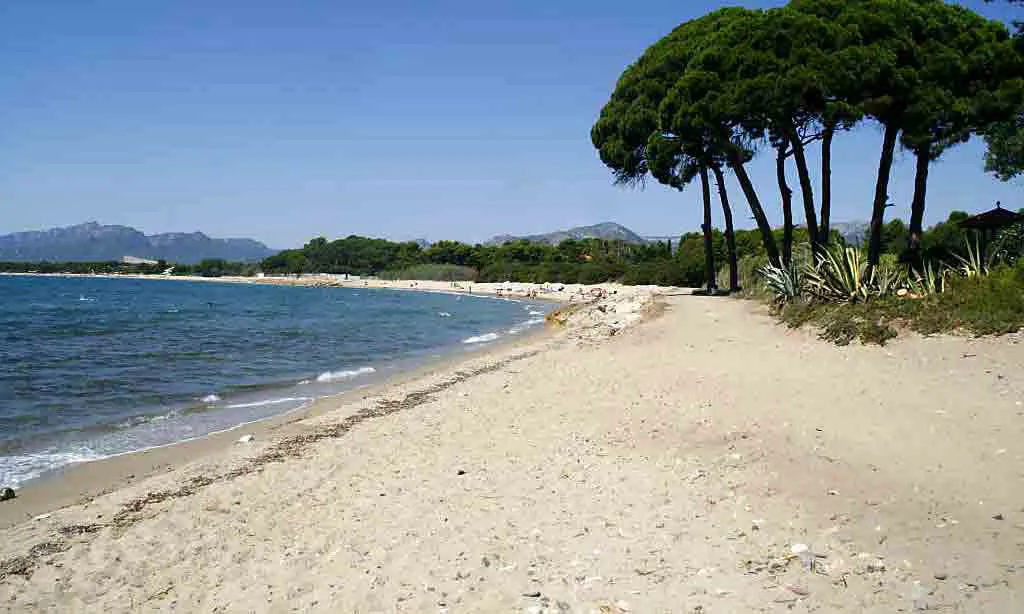 Camping Playa y Fiesta Costa Dorada - Miami-Platja visuel 13/13