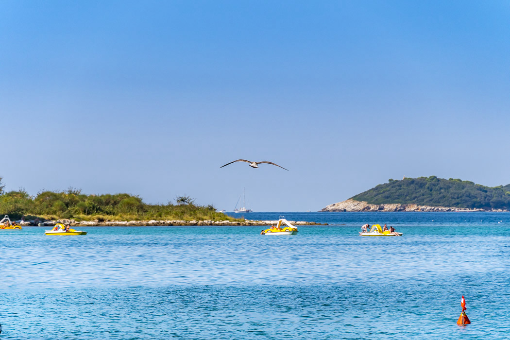 Polari Istrie - Rovinj visuel 7/12