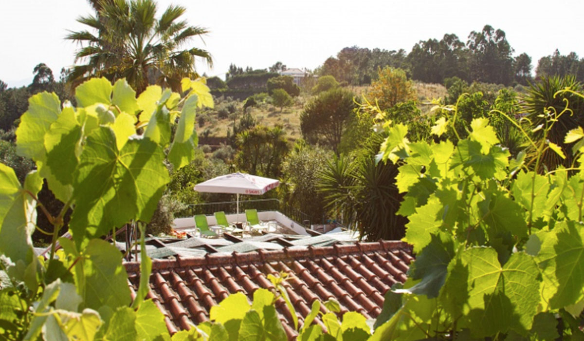 Redondo Centro - Tomar visuel 2/3 Redondo Centro - Tomar visuel 2/3