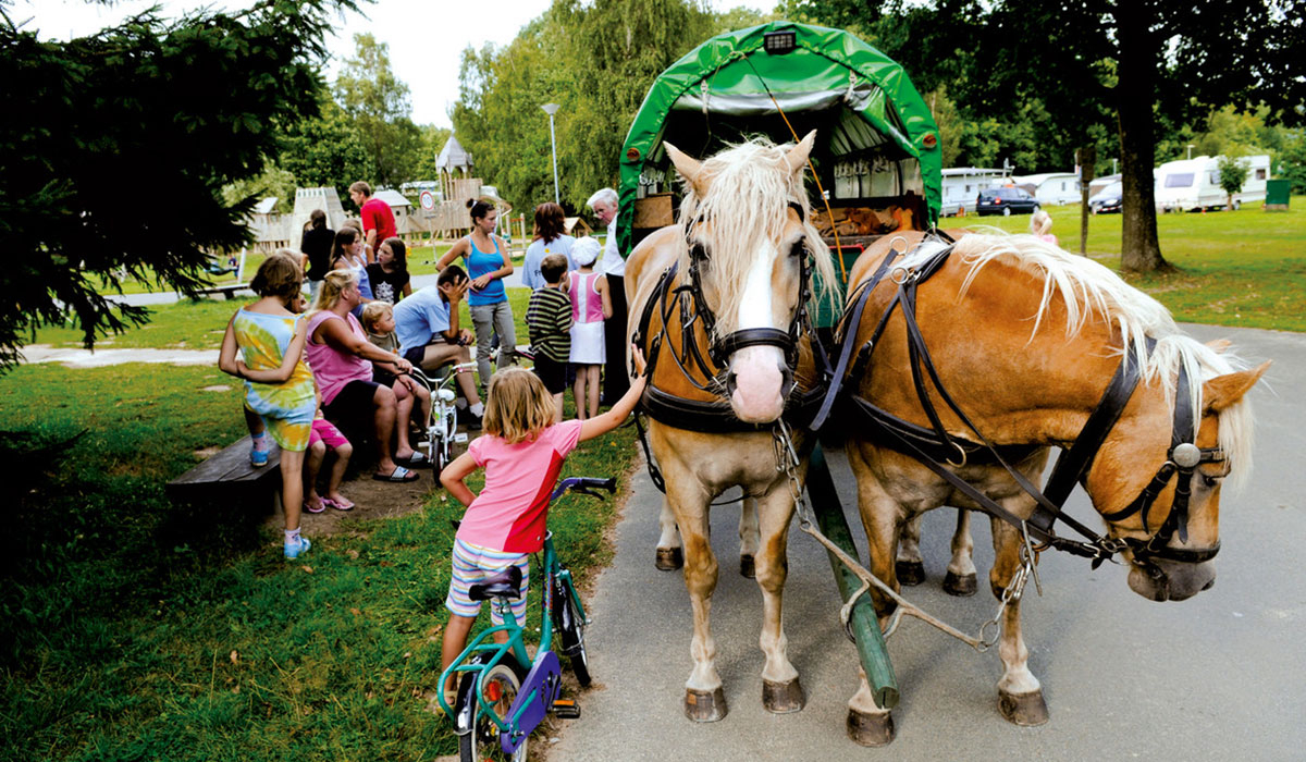 Regenbogen Tecklenburg Rhénanie-du-Nord-Westphalie - tecklenburg visuel 5/5 Regenbogen Tecklenburg Rhénanie-du-Nord-Westphalie - tecklenburg visuel 5/5