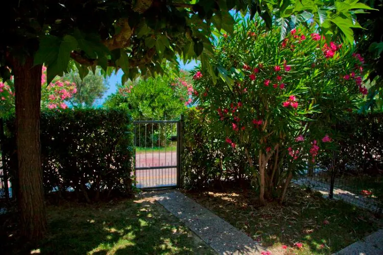 Camping Residence Casabianca Marches - Porto San Giorgio visuel 5/7
