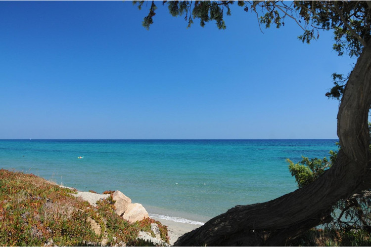 Riva Bella Domaine Naturiste - Corse - Aléria visuel 2/9 Riva Bella Domaine Naturiste - Corse - Aléria visuel 2/9