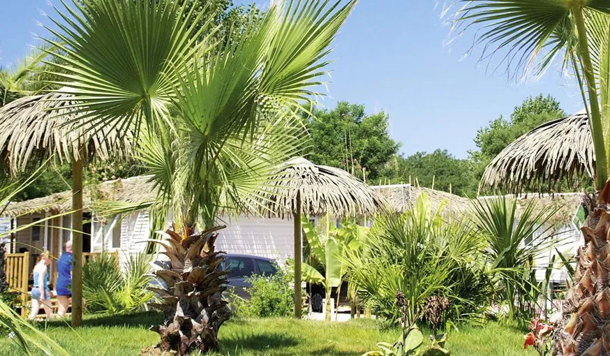 Camping Riviera d'Azur Provence-Alpes-Côte d'Azur - Saint-Aygulf visuel 20/24