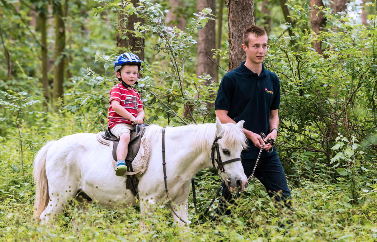 Rosenfelder Strand Ostsee Schleswig-Holstein - Grube visuel 3/3