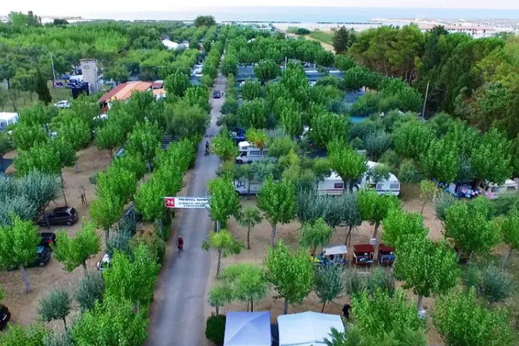 Camping Sabbia d'Oro Molise - Montenero di Bisaccia visuel 2/6