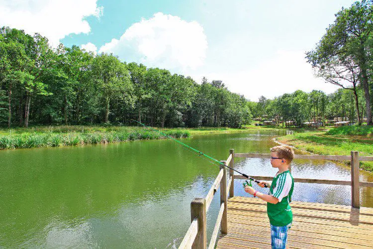 Camping Saint Avit Loisirs Aquitaine - Saint-Avit-de-Vialard visuel 14/14