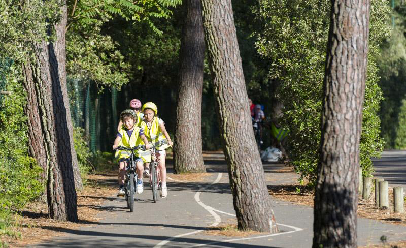 Les Cabanes d'Oléron Pays de Loire - Talmont-Saint-Hilaire visuel 5/10