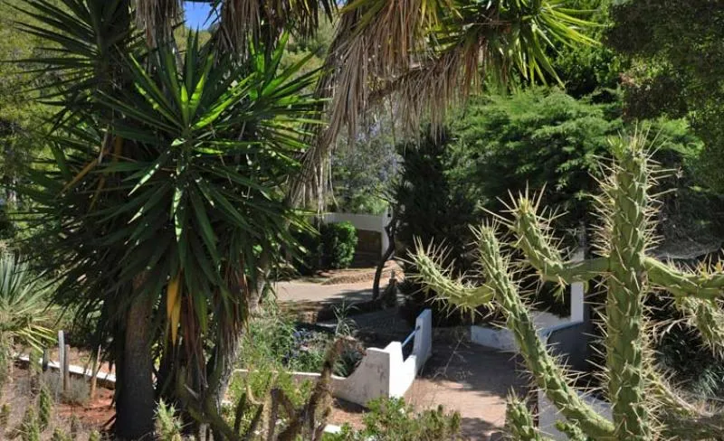 Camping Salema Eco Camp Algarve - Budens visuel 11/12