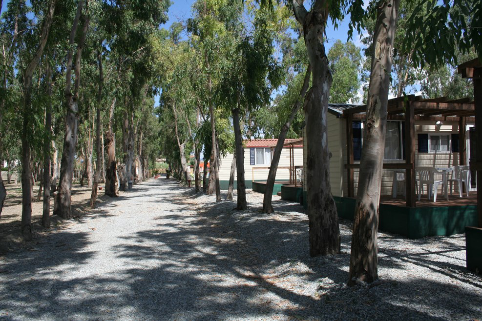 Salicamp Boschetto Holiday Sicile - Terme Vigliatore visuel 3/4