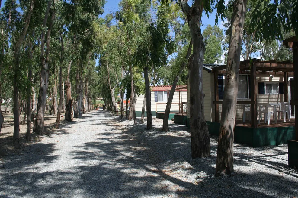 Camping Salicamp Boschetto Holiday Sicile - Terme Vigliatore visuel 3/4
