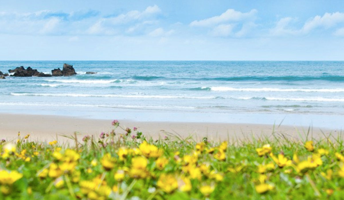 San Pedro de la Ribera Asturies - Cudillero visuel 1/2