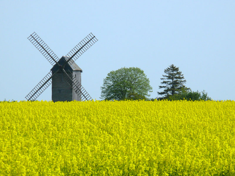 Senonches Grand Centre - Senonches visuel 1/1 Senonches Grand Centre - Senonches visuel 1/1