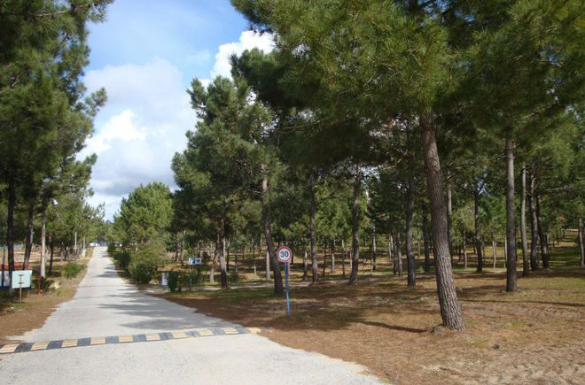 Sitava Milfontes Alentejo - Vila Nova de Milfontes visuel 3/5 Sitava Milfontes Alentejo - Vila Nova de Milfontes visuel 3/5