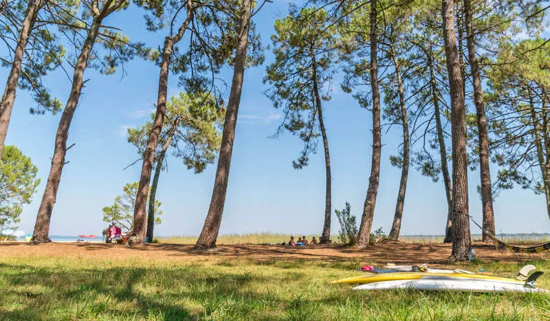 Camping Slow Village Biscarrosse Lac Aquitaine - Biscarrosse visuel 9/12