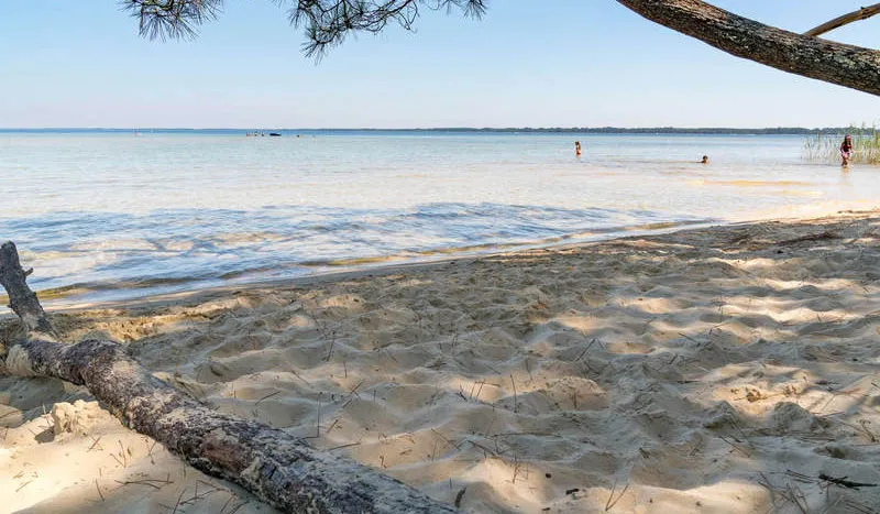 Camping Slow Village Biscarrosse Lac Aquitaine - Biscarrosse visuel 10/12