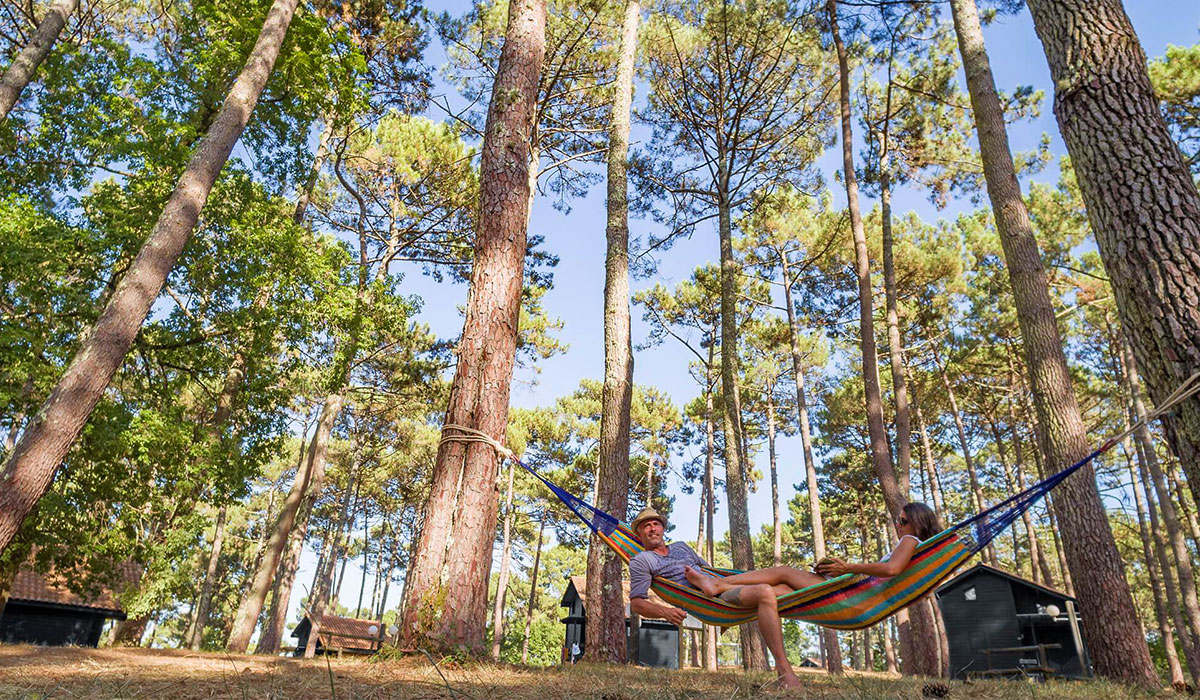 Slow Village Biscarrosse Lac Aquitaine - Biscarrosse visuel 7/12