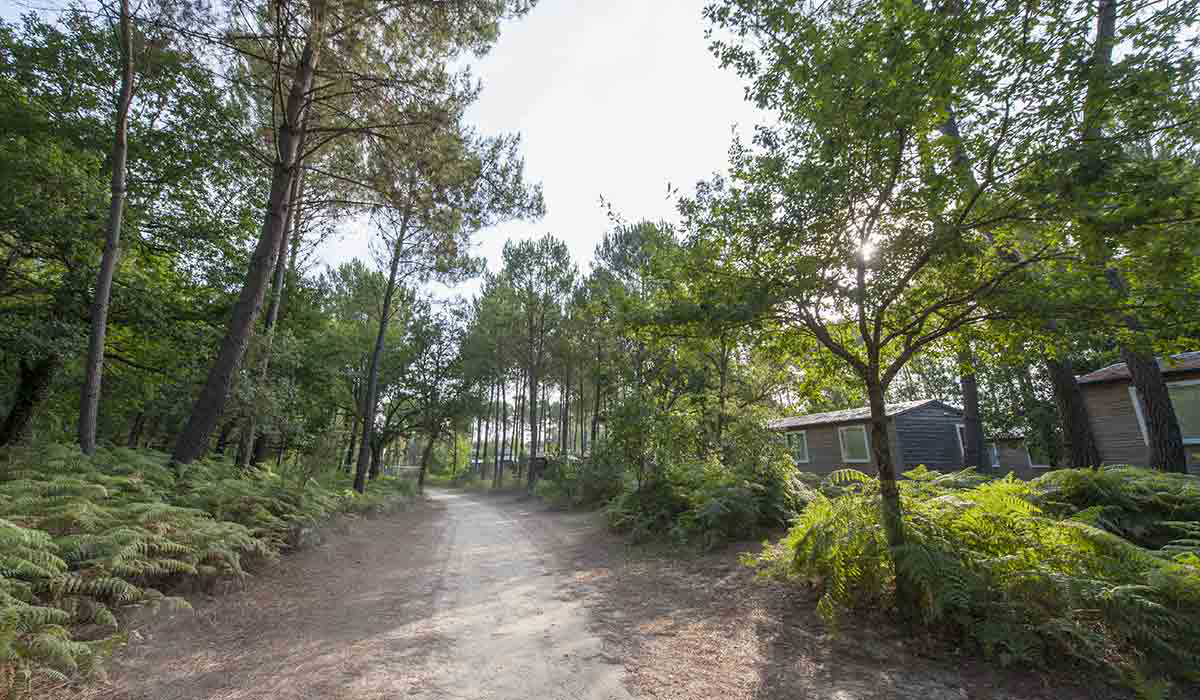 Soustons Village Aquitaine - Soustons visuel 20/25