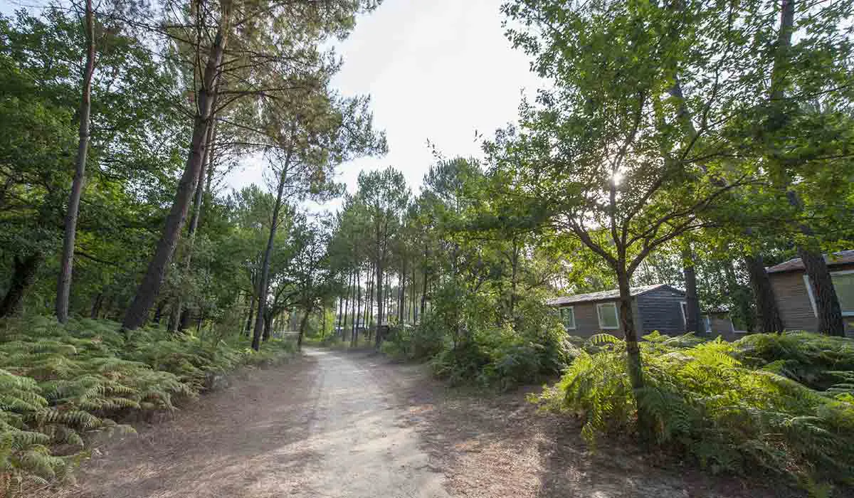 Camping Soustons Village Aquitaine - Soustons visuel 20/25