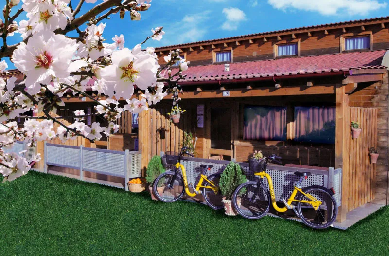 Camping Spa Natura Resort Costa del Azahar - Peñiscola visuel 12/12