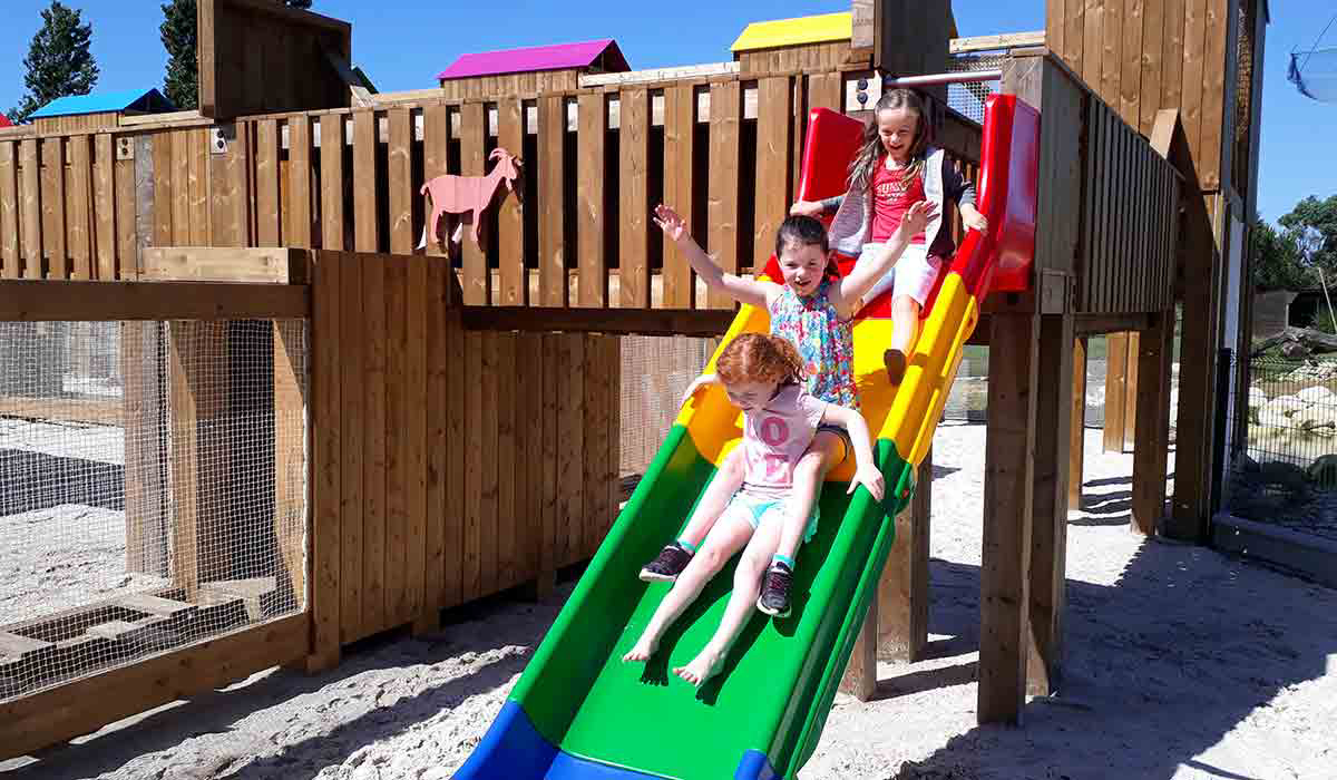 Séquoïa Parc Poitou-Charentes - Saint-Just-Luzac visuel 15/22