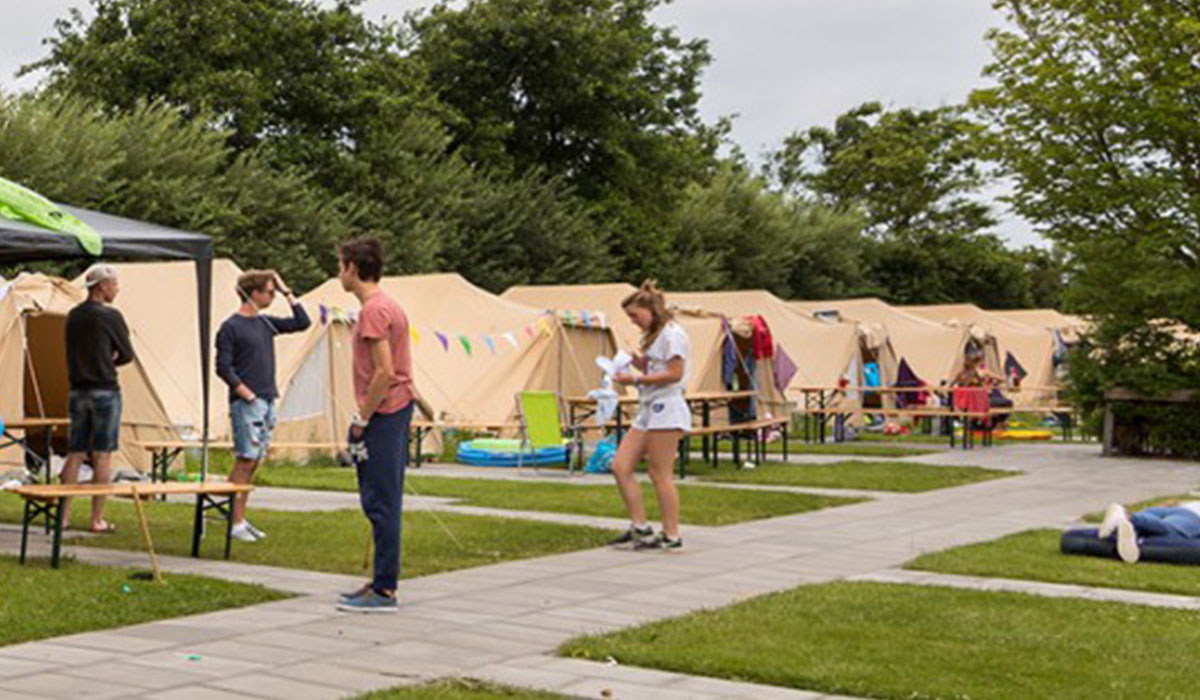 Terpstra Frise - Midsland visuel 1/1 Terpstra Frise - Midsland visuel 1/1