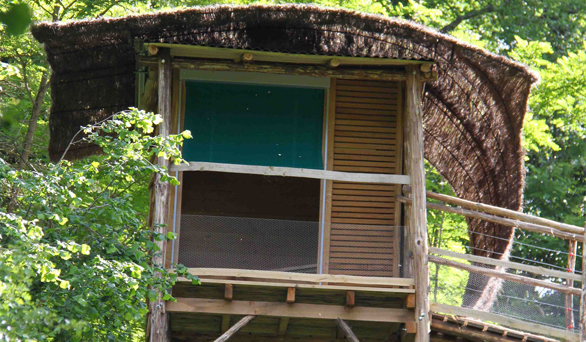 Domaine Terragora Lodges Pays de Loire - Les Épesses visuel 9/12
