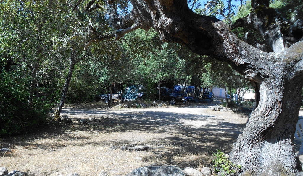 Tizarella Corse - Moltifao visuel 1/1 Tizarella Corse - Moltifao visuel 1/1