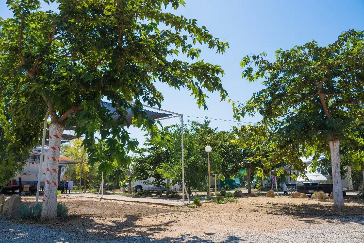 Camping Torre Sabea Pouilles - Gallipoli visuel 4/9