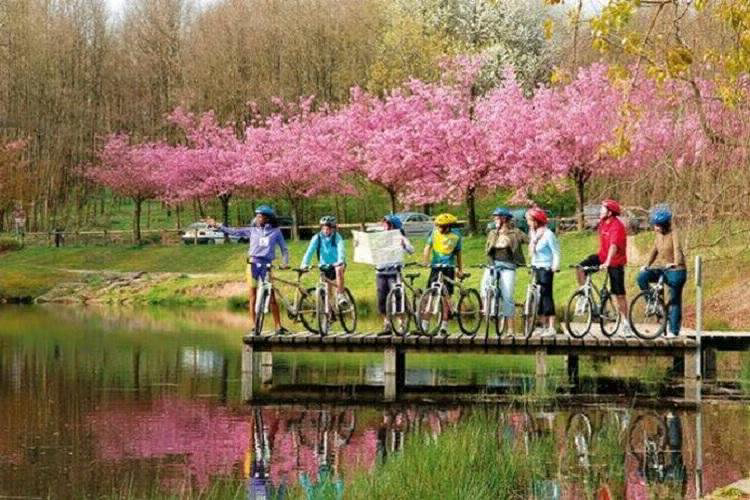 Villages Bitche Lorraine - Bitche visuel 6/8 Villages Bitche Lorraine - Bitche visuel 6/8