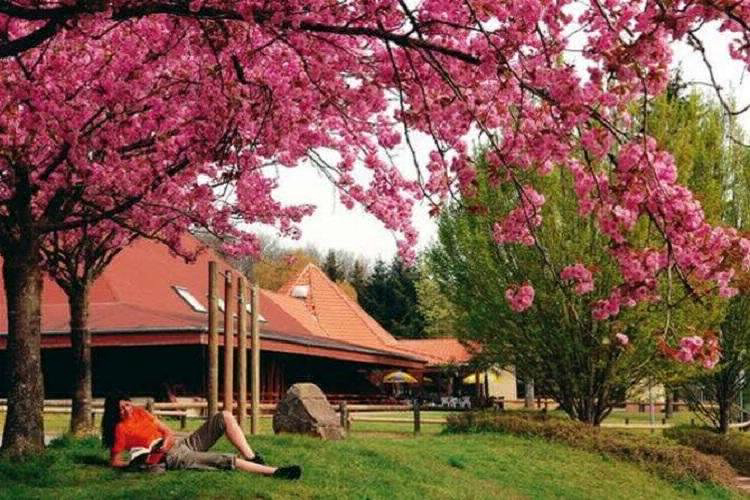 Villages Bitche Lorraine - Bitche visuel 5/8 Villages Bitche Lorraine - Bitche visuel 5/8