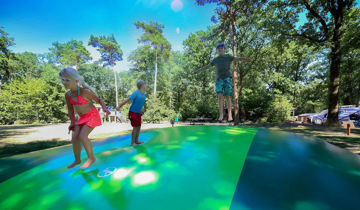Camping Vakantiepark Bonte Vlucht Utrecht - Doorn visuel 2/3