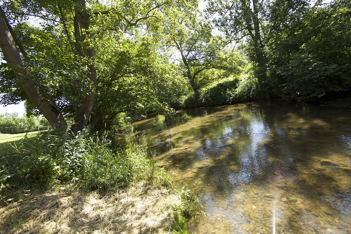 Camping Val de Coise Rhône-Alpes - Saint-Galmier visuel 8/13