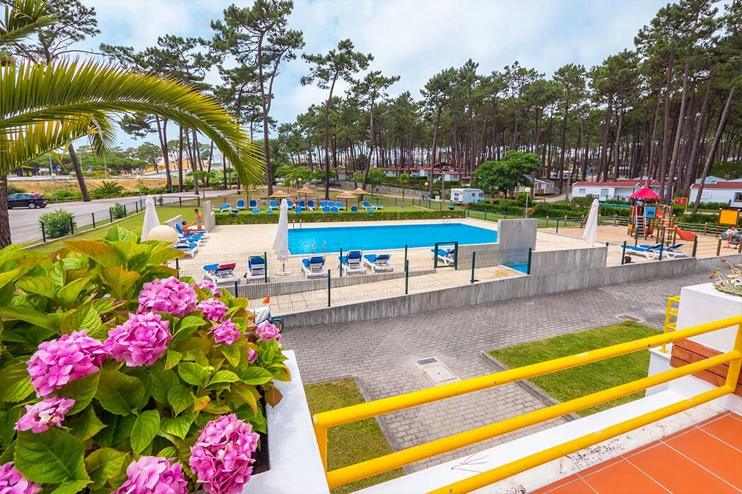 Camping Valado Lisboa - Nazaré visuel 5/15