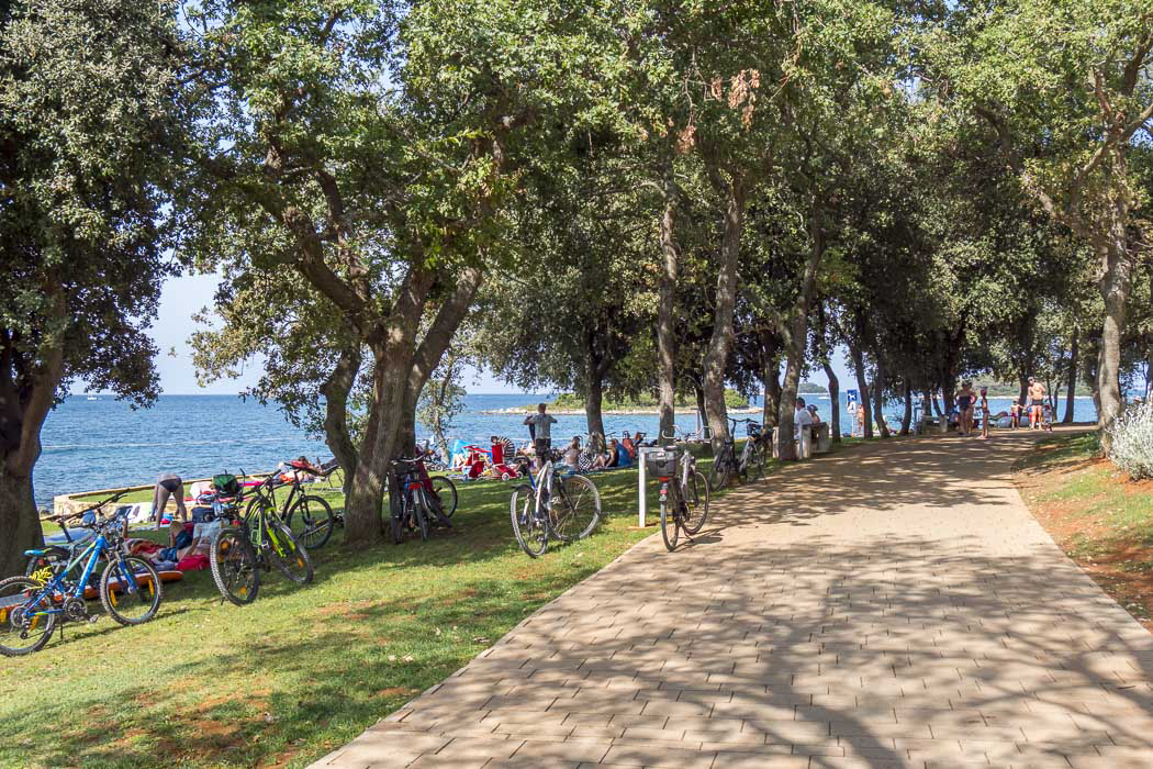 Valkanela Istrie - Vrsar visuel 13/14