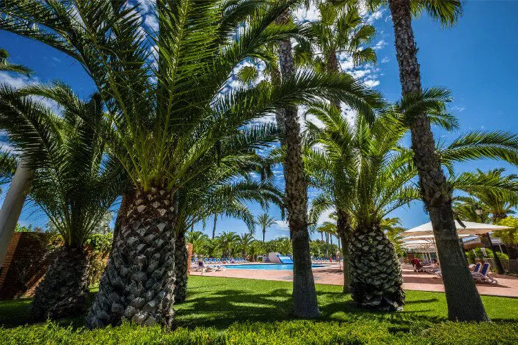 Camping Vendrell Platja Costa Dorada - Coma-ruga visuel 6/7